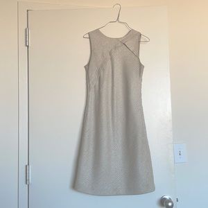 Banana Republic Sleeveless Shine Shift Dress